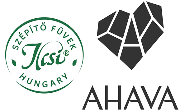 ilcsi-ahava